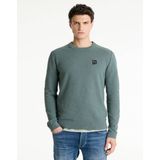 CHASIN' - Rico - Trui - Petrol