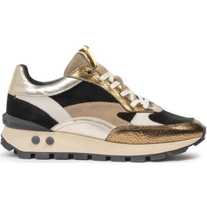 Floris van Bommel Sneakers SFW-10098 Gold