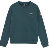 Indian Blue Jeans - LOOSE FIT SWEAT BACKPRINT - Hoodie - Donkergroen