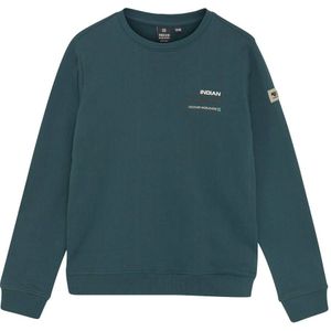 Indian Blue Jeans - LOOSE FIT SWEAT BACKPRINT - Hoodie - Donkergroen