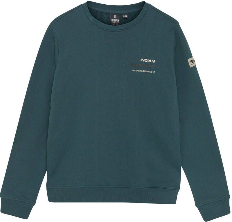 Indian Blue Jeans - LOOSE FIT SWEAT BACKPRINT - Hoodie - Donkergroen