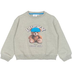 The New meisjes sweater - Grijs