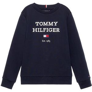 Tommy Hilfiger Sweat KB0KB08713 Licht blauw