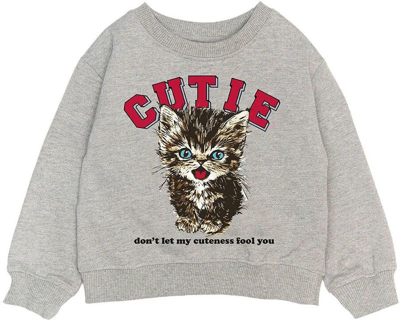 The New Sweat TNST6492 Licht grijs