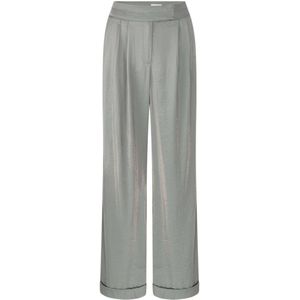 Aaiko Pantalon FREDERIQUE SHINE Grijs