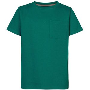 Blue Rebel T-shirt 2803612 Joseph Midden groen