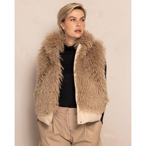 Zhrill - ZJ160-N3020 - Bodywarmer - Taupe