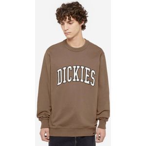 Dickies Sweatshirt DK0A4XABJ961 Bruin