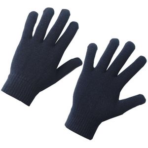 True North Heren Handschoenen Zwart
