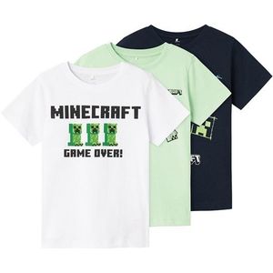 MINECRAFT Kids Renzo T-shirts Meerkleurig