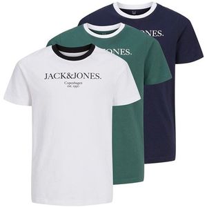 JACK AND JONES Jongens Chester T-shirts Meerkleurig