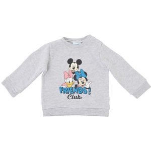 Minnie Mouse Meisjes Sweaters Grijs