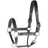 Harry's Horse Halster leder, zwart met bies Pony Zilver