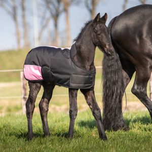 Veulendekens - Harry's Horse Veulendeken TwoTone One Size Zwart Bovenlengte: 65 cm & Onderlengte: 100 cm