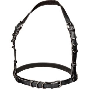 Halter Buckle Harness +Size