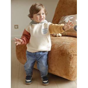 Babyset sweater met capuchon + jeans meerkleurig