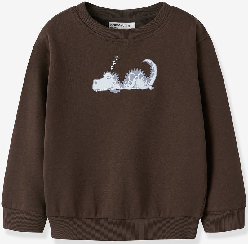 Sweatshirt - Regular Fit - Geborstelde Sweatstof - Lange Mouwen