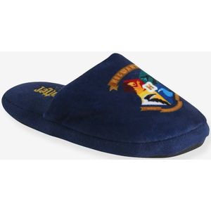 Harry Potter slippers voor jongens blauw