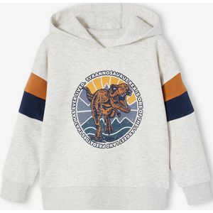 Vertbaudet Grafische hoodie met colorblock mouwen voor jongens