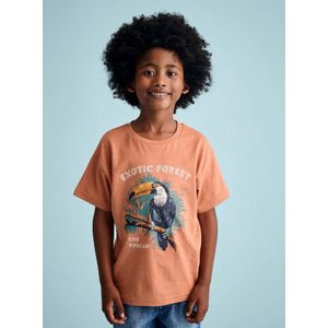 T-shirt - Jongens - Sinaasappel - 100% Gerecycled Katoen - Dierenmotief