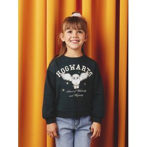 Sweater meisje HARRY POTTER dennen