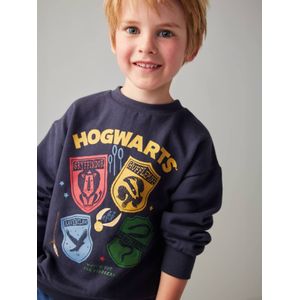 Jongenssweater Harry Potter Wapenschilden nachtblauw