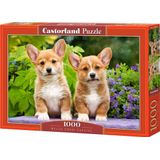 Welsh Corgi Puppies Puzzel (1000 stukjes)