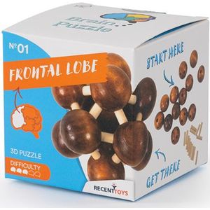 Frontal Lobe, Breinbreker 1, Recent Toys