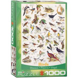 Birds Puzzel (1000 stukjes)