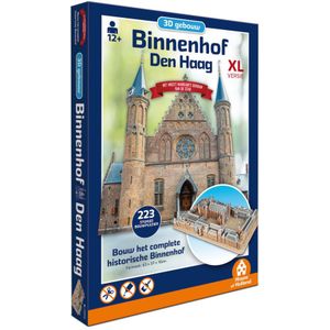 3D Gebouw - Binnenhof Den Haag (223 stukjes)