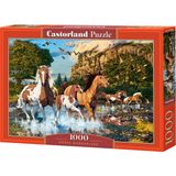 Horse Wonderland Puzzel (1000 stukjes)