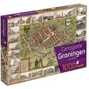 Groningen Cartografie Puzzel (1000 stukjes)