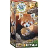 Red Pandas Puzzel (250 stukjes)