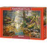 Castorland Legpuzzel Reminiscence Of The Forest - 2000 Stukjes