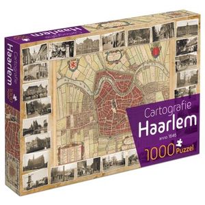 Haarlem Cartografie Puzzel (1000 stukjes)