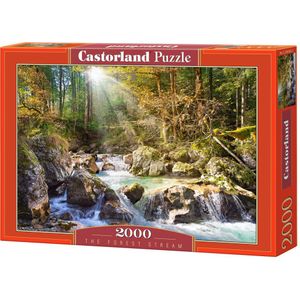 The Forest Stream Puzzel (2000 stukjes) - Landschapsthema