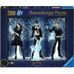 Glow in the Dark Harry Potter Puzzel (500 stukjes)