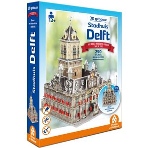 3D Gebouw - Stadhuis Delft (250 stukjes)