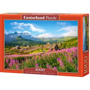 Hala Gasienicowa,Tatras Puzzel (1000 stukjes)