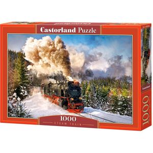 Steam Train - 1000 Stukjes