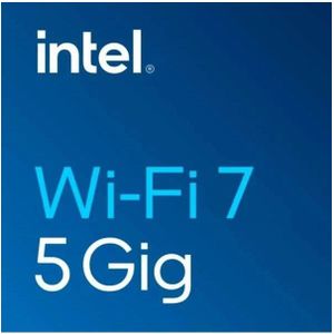 Intel - Wi-Fi 7 BE201 - Netwerkkaart - Zwart - M.2 Een sleutel