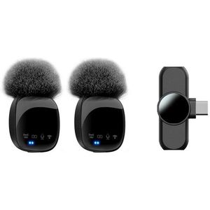 Lippa Dual Wireless Wind Protected Microphone With USB-C Connector