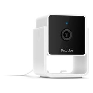 Petcube Cam