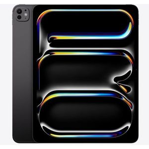 Apple iPad Pro 13" (2024) 256GB with Standard Glass - Space Black