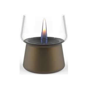 Tenderflame Amaryllis 10 Brown