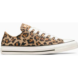 Converse Chuck Taylor All Star Leopard