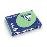Clairefontaine papier | natuurgroen | A4 | 120 gr. | 250 vel