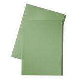 Esselte inlegmap | karton | 10 mm overslag | folio | groen | 100 stuks