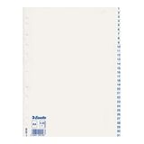 Esselte 100156 A4 index | plastic | 1-31 | 11-gaats