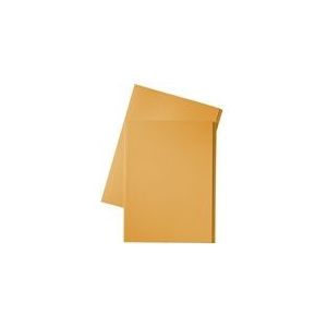 Esselte inlegmap | karton | 10 mm overslag | folio | oranje | 100 stuks
